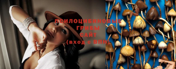 первитин Заводоуковск